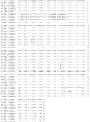 Genetic diversity of Potato virus M (PVM) in the major potato growing region in the Indo-Gangetic plain and characterization of a distinct strain of PVM occurring in India